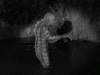 1261C684-2E90-4821-B15E-0577EF8D5C30.gif