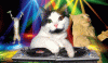 4244A234-CFE7-46CF-963D-98FB127AF3C0.gif