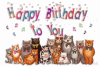 3B6DDAA9-C155-4C36-A4FC-971FD2CFB1DE.gif