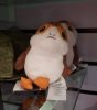 porg (2).jpg