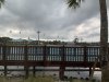 IMG_5310.jpg