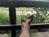 11 Fort Wilderness at Crockett's Tavern porch.jpg