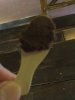 43 raw choc.jpg