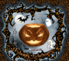 A33B3F8C-D2A2-4F25-A992-68FC606B234C.gif