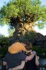 AK_TREEBACK_20170212_7947496316.jpg