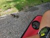 20190825_103611.jpg