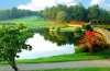 pinehurst golf.jpg