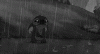 1giphy.gif