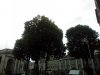 IMG_20190829_172405.jpg