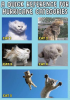 1567195718432.png