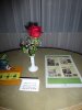P1080160 - Copy.JPG