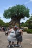 Disney 83.jpg