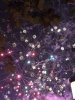 IMG_2557.JPG