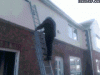 ladder.gif