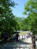 P1080180 - Copy.JPG