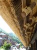 P1080202 - Copy.JPG