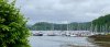 Tobermory 3.jpg