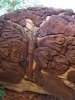 100_0094.JPG