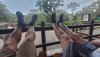 20190909_185733-1152x648.jpg