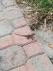 IMG_20180709_095452.jpg