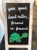 Monday - turtle.JPG