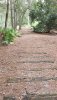 20190910_124610-567x1008.jpg