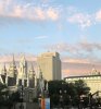 IMG_7156.jpeg