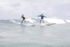 surf2.jpg