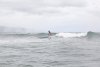 surf1.jpg