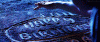 D92A751E-FE5F-48AE-A4D0-93CF80102A93.gif