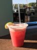IMG_5240.jpg IMG_5240.jpg