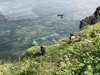 17017604-BA3E-4F6E-BBD1-FED1EB19D2AF.jpeg