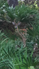 FEE011EF-98B4-46D6-B630-D2EC89B88D14.png