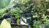 AK Safari exit waterfall.jpg