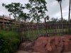 Disney 100.jpg