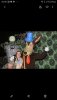 Screenshot_20190921-200624_Gallery.jpg