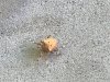 AD8F09B7-AF94-4E21-A95D-808E0294BE76.jpeg