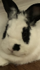 261EB637-D74C-4661-ADF0-084865341E5A.png