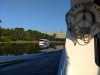 IMG_20190909_081759193.jpg