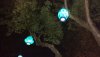 MK teacup lanterns.jpg