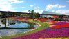 epcot FG 2019.jpg epcot FG 2019.jpg