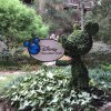 Old topiary.jpg