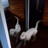 20190927_083134.jpg