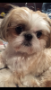 3453B344-75C3-4207-8D34-E1ABDCE1C49B.png