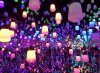 7F2485CE-A87D-47F6-B550-57665925BB85.jpeg