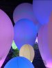 79DE8123-94FD-4F69-A306-367C466F86F7.jpeg