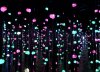 ED2F6378-349B-4474-A59D-BF32DC85CF46.jpeg