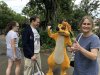 IMG_3226.jpeg