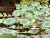 B204885F-17D4-4BDE-B09E-5787E22381A5.jpeg