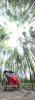 D3EF3F22-1ACB-43F9-9397-41246A0BF976.jpeg